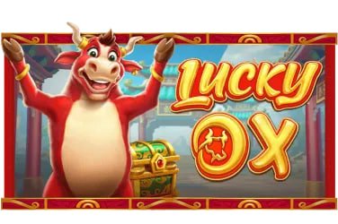 284 bet 284 bet